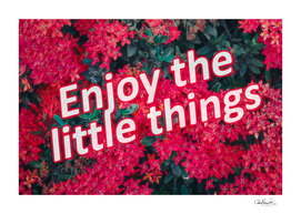 Enjoy the little things text over floral background