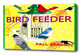 Bird-Feeder