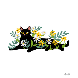 Cat and wildflowers