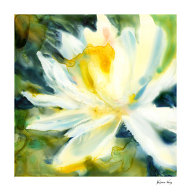 Water Lily Watercolor Painting