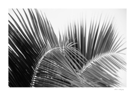 Lush Caribbean Palms #2 #tropical #wall #art