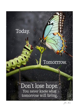 Today Tomorrow Don'T Lose Hope