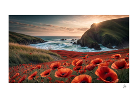 Red poppies blooming at sunrise.