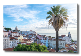 Alfama view with palmtree - Lisbon, Portugal