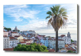Alfama view with palmtree - Lisbon, Portugal