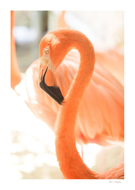 Curadise Flamingo #1 #flamingo #wall #art