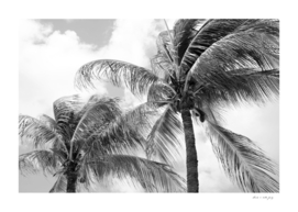 Summer Paradise Palms #5 #tropical #wall #art