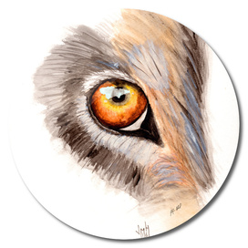 Wolf Eye Watercolor