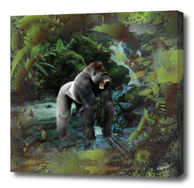 Gorilla Rain Forest Waterfall Collage