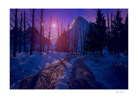 Snowy Road Sunset