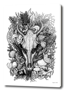 Life's Mystery: Goat Skull