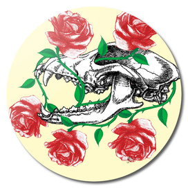 Wolf Skull entangled in roses.