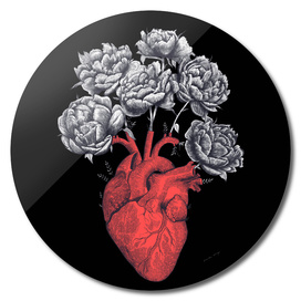 Heart with peonies on black