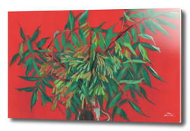Ash-tree in red & green