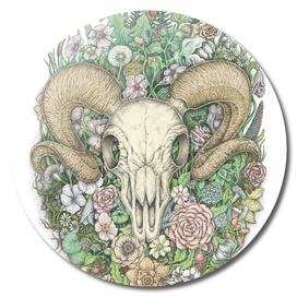 Life's Mystery: Ram Skull (Digital Painting Version)