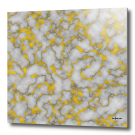 Marble and Gold Luxury Foil