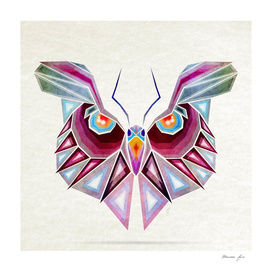 owl or butterfly