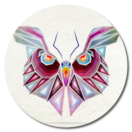 owl or butterfly