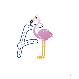 Animal alphabet, letter F: Flamenco