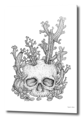 Skull Cacti