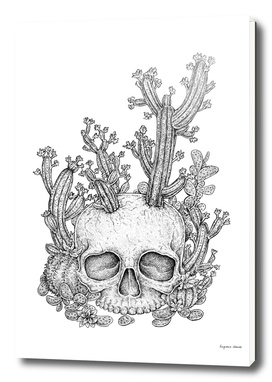 Skull Cacti