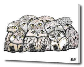 owl Pile