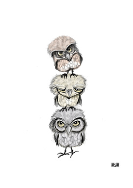 Owl Totæm