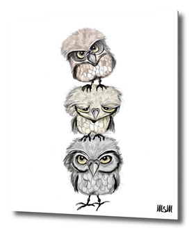Owl Totæm