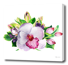watercolor orchid flower