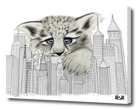 City Leopard