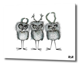 Owls with Horns
