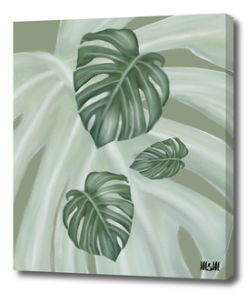 Monstera the four