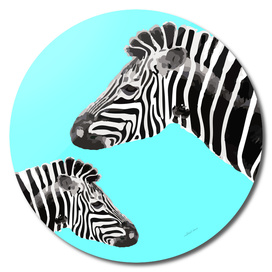 Zebra (turquoise)