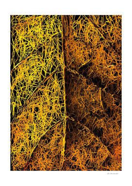 drawing and painting rotten yellow leaf texture abstract