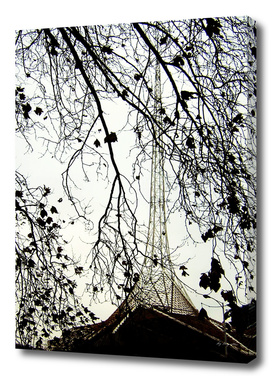 Arts Centre Tower and winter trees, Melbourne
