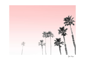Tranquillity - pink sky