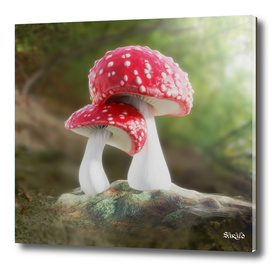 Fairy Mushroom Love