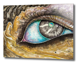Watercolor Eye A-1