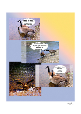 Talking Geese Collage