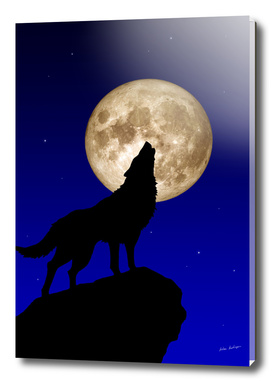 wolf & moon