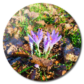 Signs of Spring - Crocus Low Poly