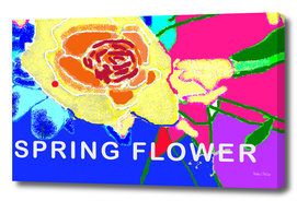 Spring-17 flower