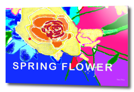 Spring-17 flower