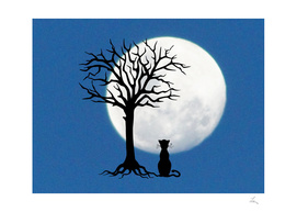 black cat and moon