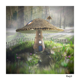 Fairy Tale Mushroom House - Early Morning
