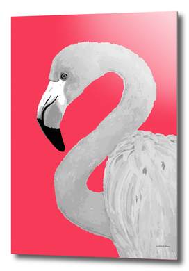 Flamingo Series 2