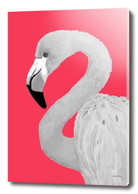 Flamingo Series 2