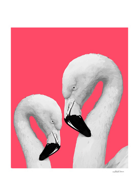 Flamingo Series 1