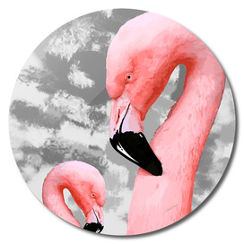 Flamingo Series 3