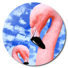 Flamingo Series 4